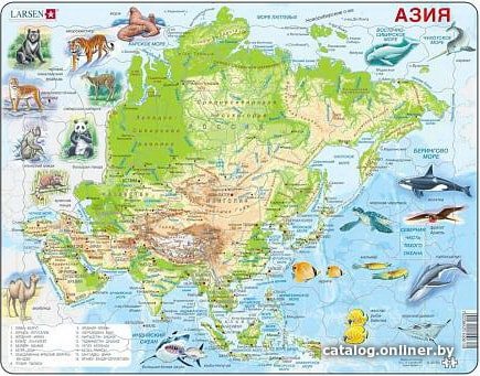 Мозаика/пазл Larsen Животные Азии A30-RU