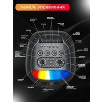 Патибокс Eltronic 30-29 Dance Box 1000