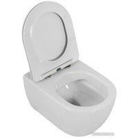 Унитаз подвесной Cezares Comfort CZR-191-TH/CZR-2316-SC в Борисове