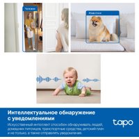 IP-камера TP-Link Tapo C125