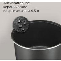 Мультиварка Redmond (Редмонд) RMC-450 (серебристый)