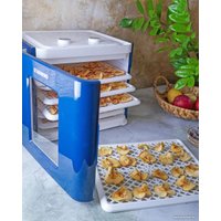 Сушилка для овощей и фруктов StarWind SFD6431