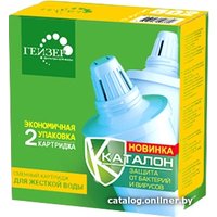 Комплект картриджей Гейзер 502 (2 шт.)