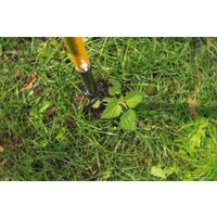 Корнеудалитель Tornadica TOR-32SOR