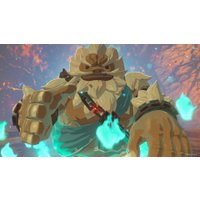  The Legend of Zelda: Breath of the Wild. Особое издание для Nintendo Switch