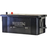 Автомобильный аккумулятор Aokly (3) евро (225 А·ч)