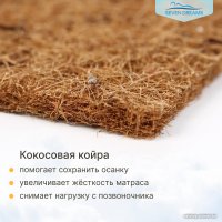 Матрас Seven Dreams Strutto Classic-cocos 415156 (80x160) в Бресте