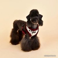 Шлейка-жилетка Puppia Dean Harness A PASD-HA1657-BE-XL (бежевый)