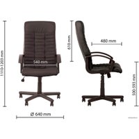 Офисное кресло Nowy Styl Boss ECO-30 (черный) в Бобруйске