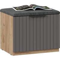 Тумба для обуви Трия Хилтон №4 251068 (дуб крафт золотой/графит матовый)