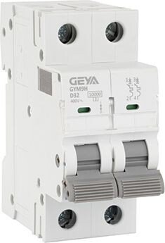 

Выключатель автоматический GEYA GYM9H-2P-32D 2P 32A D 10kA 2M GYM9H2P32D