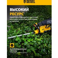Кусторез Denzel RBC510-36 59410 (с 2-мя АКБ)