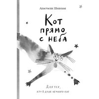 Книга издательства Самокат. Кот прямо с неба (Шанская Анастасия) в Лиде