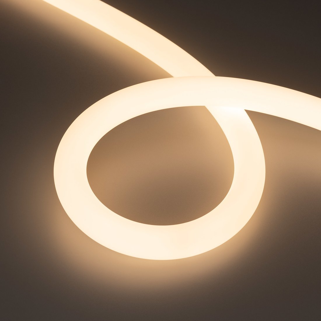 

Гибкий неон Arlight MOONLIGHT-SIDE-FP-X1088-D25mm 24V Warm3000 038868