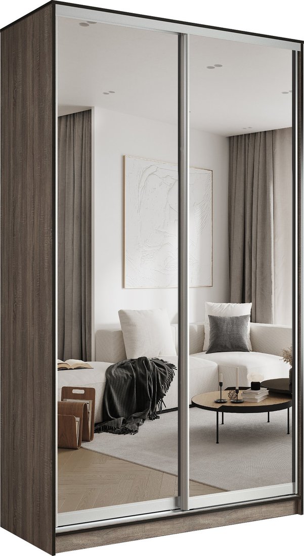 

Шкаф-купе Евва АЭП ШК.2 01 158 TS.05 (дуб трюфель/хром)