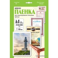 Пленка для ламинирования Office-Kit глянцевая A4 100 мкм 25 шт LPA4100