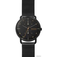 Наручные часы Skagen SKW6538