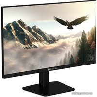 Монитор Prime Box Eagle M24 HVIB