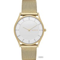 Наручные часы Skagen SKW2377