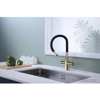 Смеситель Paulmark Salix Sa213419-G (черный/золото)