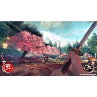  Shadow Warrior для PlayStation 4