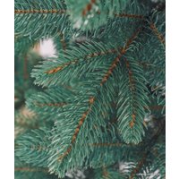 Ель Бифорес Венера (резина, голубой) 1.95 м