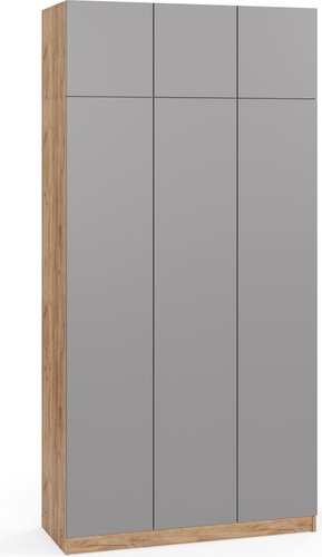 Шкаф распашной Soma Lord Lite 120x240 (дуб крафт золотой/серый)