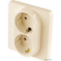 Розетка Legrand Inspiria 673751