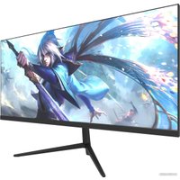 Монитор NPC MA3010-V