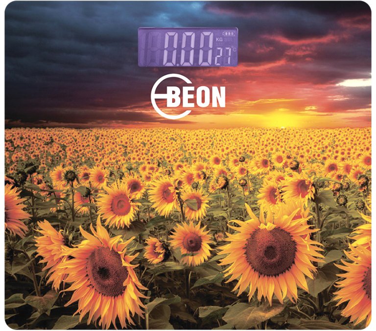 

Напольные весы Beon BN-1112