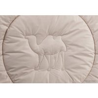 Одеяло Kariguz Чистый Верблюд ЧВ21-7-3 (200x220 см)