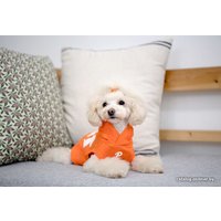 Свитер для животных Puppia Emmy PARA-TS1509-OR-L (оранжевый)