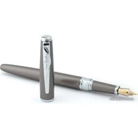 Ручка перьевая Pierre Cardin Secret Business PCA1561FP