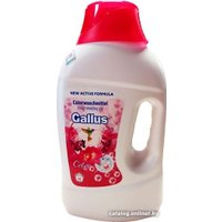 Гель для стирки Gallus Color 2 л