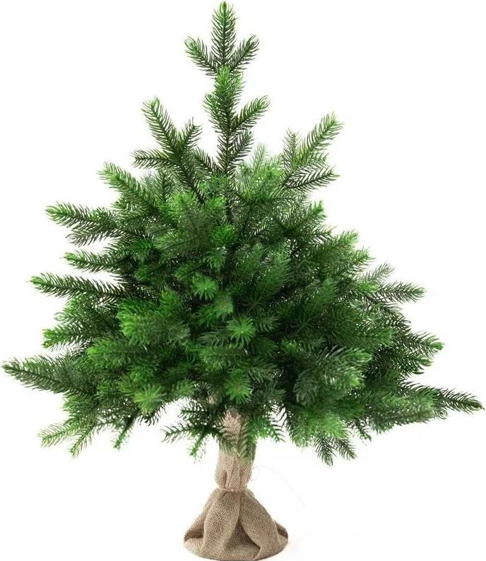 

Ель National Tree Company Грация Премиум ГР/ПР-60 60 см