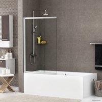 Стеклянная шторка для ванны Wasserkraft Main 41S02-100 WasserSchutz