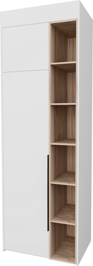 

Шкаф распашной Рэйгрупп Рэй S262-B1-EBЕ В1 (дуб элисон/белый премиум)