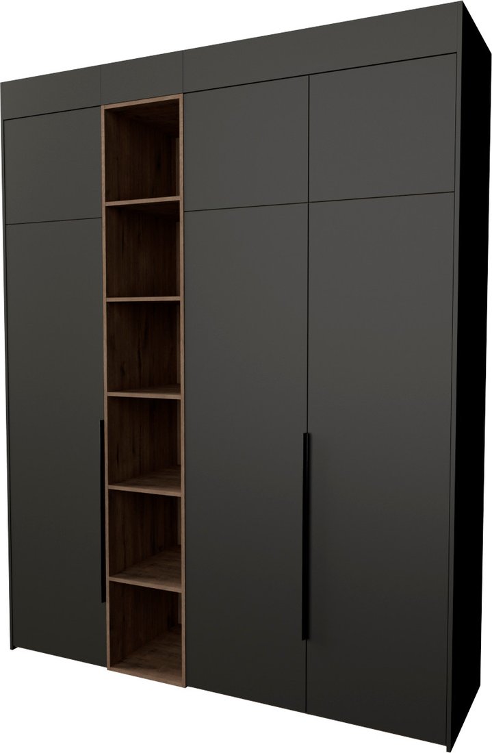 

Шкаф распашной Рэйгрупп S274-В8-1-WKW В8-1 (дуб веллингтон/кобальт)