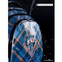 Школьный рюкзак SkyName R2-197 + брелок мишка