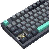 Клавиатура A4Tech Fstyler FS300 Panda Rock Climbing