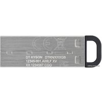 USB Flash Kingston Kyson 128GB