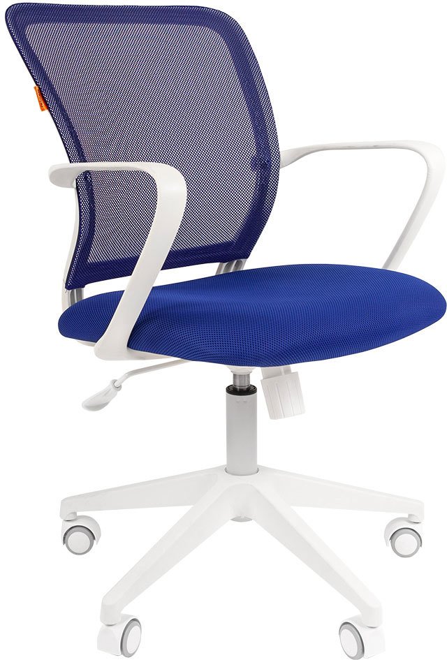 

Офисное кресло CHAIRMAN 698 White (синий)