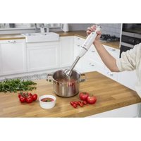 Погружной блендер MPM MBL-43