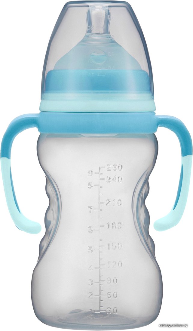 Бутылочка для кормления Roxy Kids Быстрый поток 6+ RBTL-003 (260 мл)
