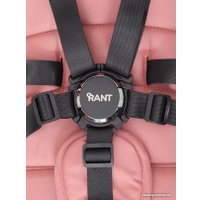 Универсальная коляска Rant Flex Pro RA074 2023 (2 в 1, pink)