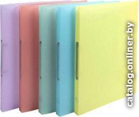 Папка для бумаг Exacompta Chromaline Pastel 54170E (ассорти)
