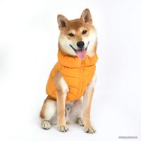 Жилетка для животных Puppia Ultra Light Vest A PAPD-JM1670-MS-S (оранжевый)