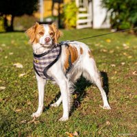 Шлея Ferplast Nikita Fur XL 75468983 (клетка с мехом)