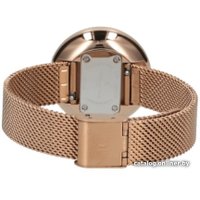 Наручные часы Pierre Cardin Marais Mirror CMA.0001