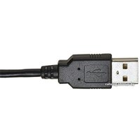 Офисная гарнитура Accutone UB110 USB в Борисове